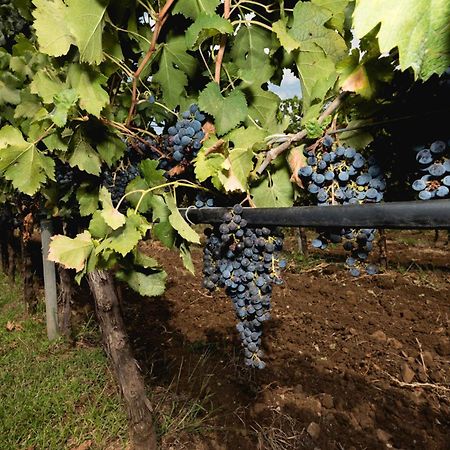 Antico Borgo Molino 7Cento Vicino Ai Giardini Di Ninfa Hotel Cori Ngoại thất bức ảnh